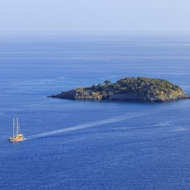 _MG_0761